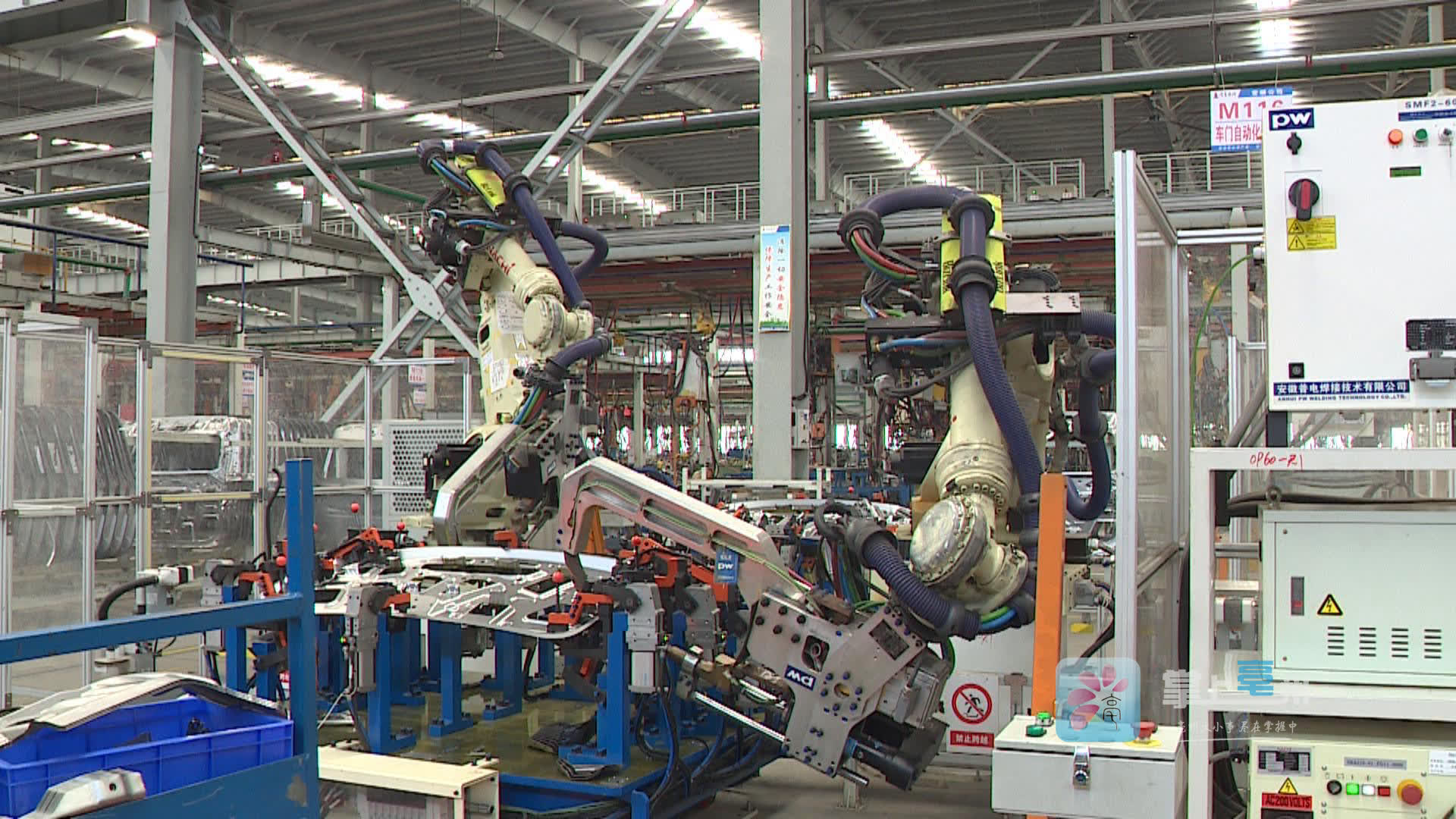 亳州中藥材出口領跑全國，技術進出口雙輪驅動產業升級